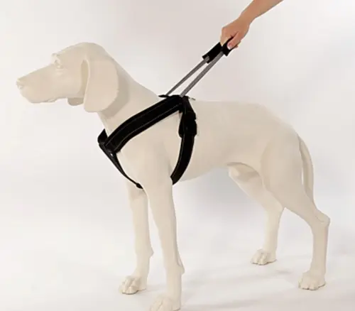 Harness Integrated Leash XL Red